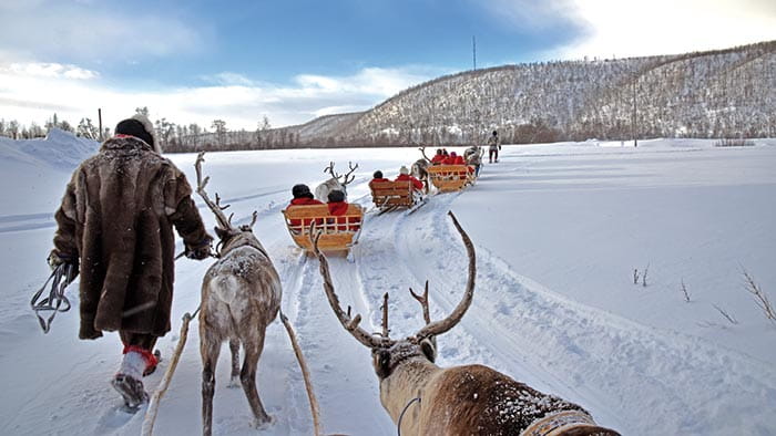 People enjoying an reindeer sledding experience